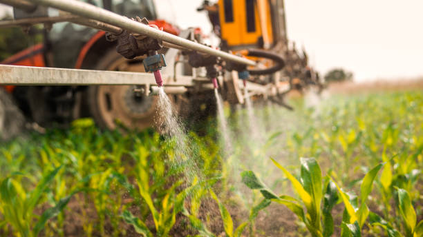 Best Pest Control Treatment  in Millbury, OH
